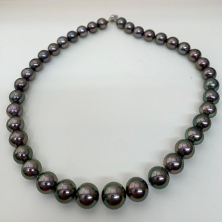 Ready to string Tahitian South Sea pearls